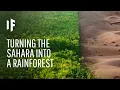 What If We Terraformed the Sahara Desert