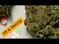 PB Smelly Strain Review