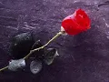 Ku Jangan Ditinggalkan - Sanisah Huri (wid lyrics)