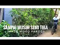 Download Lagu [Showroom x JKT48] Shania Gracia - Sampai Musim Semi Tiba Image Video Parody