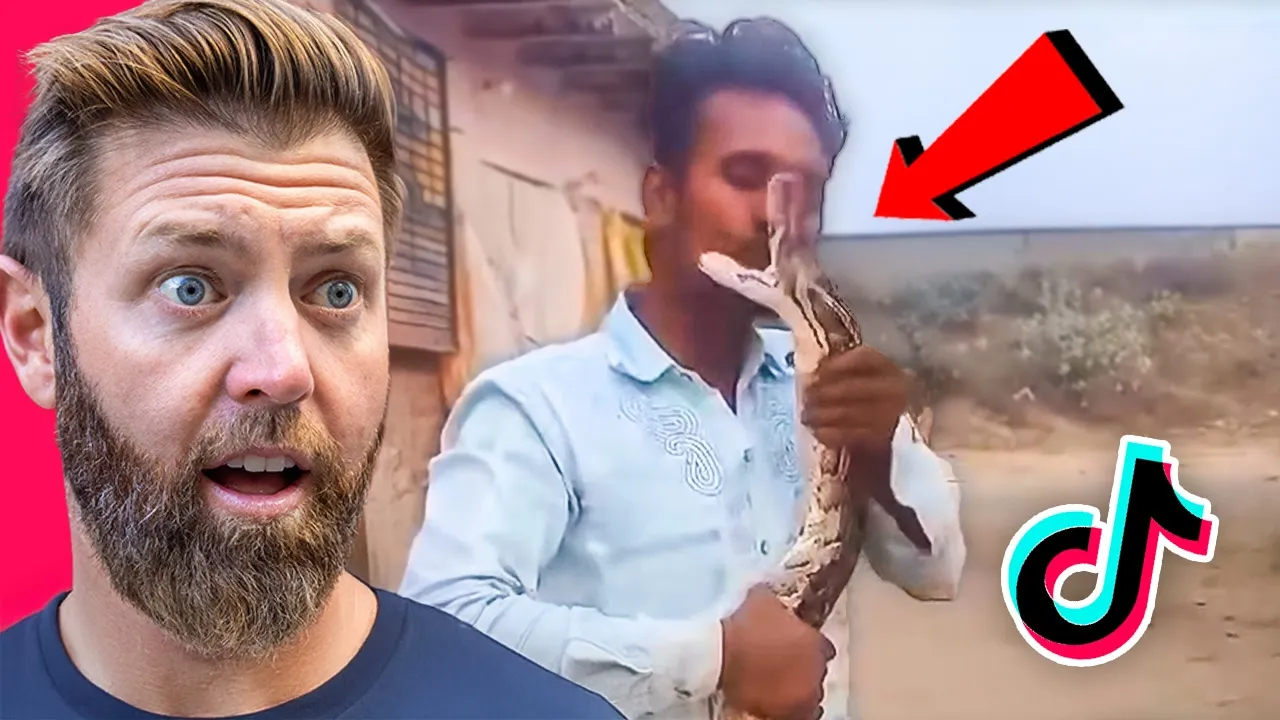 Wildlife Expert Reacts To TikTok’s Worst Animal Attacks