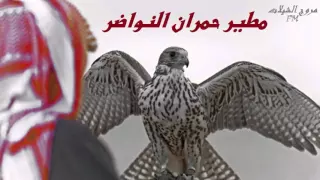 شيلة طرب مطير حاتم الشاطري جديد  شيلة طرب مطير حاتم الشاطري جديد