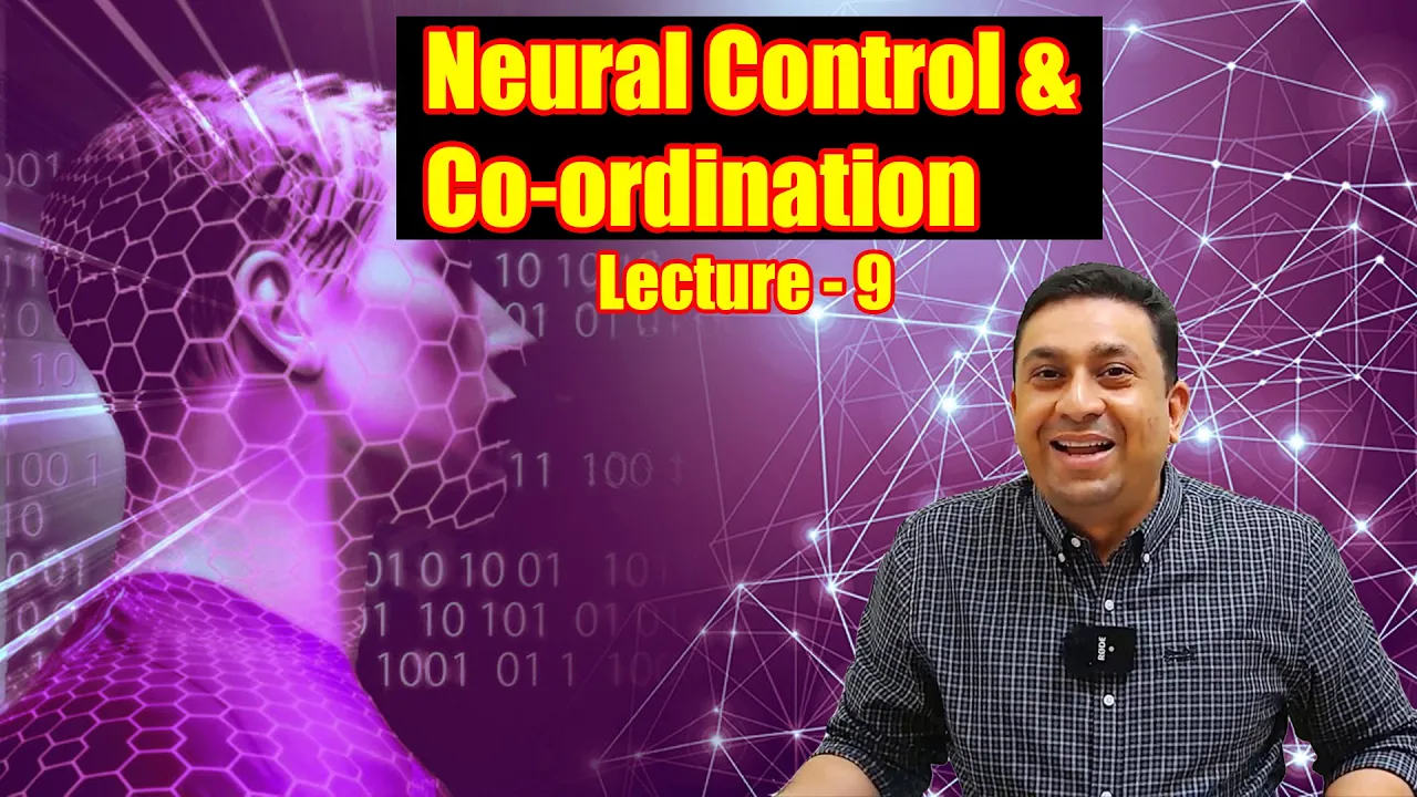 Neural Control & Co-ordination l Lecture 9 l Biology l NEET