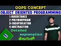 Object-oriented Programming What is OOPs concept how to implement object oriented Program