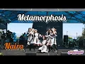 Lagu Naira _ Metamorphosis (Original Song)  |  KULTIFEST NAKAYOCHI 2023 - Dago Tea House Bandung