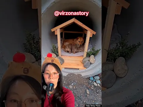 Bikin rumah aman untuk guguk‼️🥰😍@virzonastory