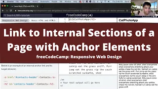 Link to Internal Sections of a Page with Anchor Elements Basic HTML and HTML5 freeCodeCamp
