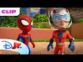 Lagu Spidey Shrinks Down in the Backyard | Marvel's Spidey and his Amazing Friends |@disneyjrx@MarvelHQ