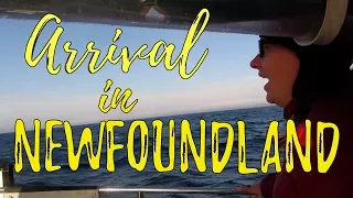 Season 3 Finale: Arrival in St. John’s, Newfoundland   | #45 | DrakeParagon Sailing Season 3