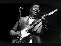Muddy Waters - Champagne & Reefer