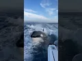 Watch your back