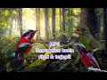 Download Lagu suara pikat konin ribut \u0026 terjepit terbaru 2023