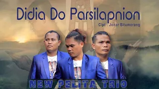 didia do parsilapnion cipta jonar situmorang new pelita trio official video 