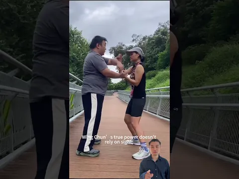 it relies on tactile reflexes, reacting instantly through the touch of the opponent's arms #kungfu
