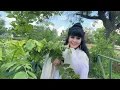 Download Lagu Tình Sử  Bạch Thu Hà Sáng tác : Viễn Châu | Angelina Nguyễn hát với NS Ưu Tú Trọng Hữu | #bachthuha