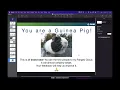 Tutorial Pangeo Forge - A Cloud Native Data Library for Ocean Weather and Climate Science