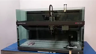             دندنها