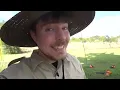 Get Every Boy Scout Badge, Win $10,000