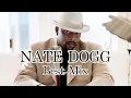 Download Lagu NATE DOGG BEST MIX(Vinyl Only)