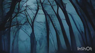 موسيقى إسمع صوت الغموض Music Mystery 