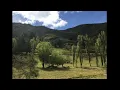 Iron & Wine - Sixteen Maybe Less (rare acoustic version)