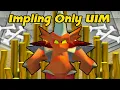 1 000 000 000 GP In Dragon Implings - Impling Only UIM