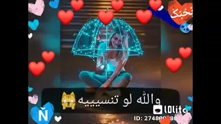 حالات واتس اب ليه قلبي جننتيه    دندنها