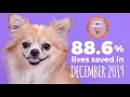 El Paso Animal Services Pawcast - January 2020