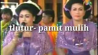 Download Tlutur-pamit mulih tayub bojonegoro MP3