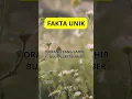Download Lagu Fakta orang yang lahir bulan september #shorts #youtuberpemula
