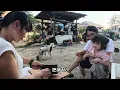 Download Lagu 妈妈说太无聊想回越南 今天给她安排点事做 农村生活每天平平淡淡地过去