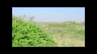 وين انت ياصاحبي طولت بالغيبه أداء فريج 