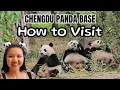 How to Visit Chengdu Panda Base Tickets Shuttle Tips