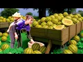Download Lagu Panen Melon Raksasa dan Dijual di Pasar Demi Susu untuk Anak - Perjuangan Seorang Ibu Hebat