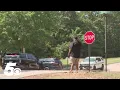 Latest News Residents describe deadly shooting at Fayetteville apartment complex