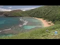 Hanauma Bay beach closed after 30 stung by Box Jellyfish