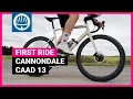 The New King of Aluminium Bikes Cannondale CAAD 13