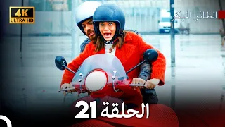 مسلسل الطائر المبكر الحلقة 21 4K Arabic Dubbed 