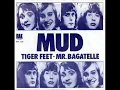 Mud - Tiger Feet
