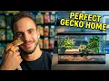 Leopard Gecko Setup Made Simple What you NEED