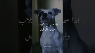 قال النبي ﷺ اذا سمعتم عواء الكلاب ونهيق الحمار في الليل فهذا معناه  دندنها