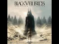In The End - Black Veil Brides