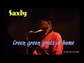 Download Lagu SAXLY ( Martial D ) Green green grass of home