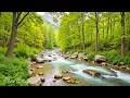 Download Lagu Music therapy 🌿Soothes the nervous system and refreshes the soul, relaxing #10