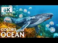 Download Lagu 8K Deep Sea Adventures - Unveil the Mysteries of Coral Reefs and Ocean Creatures