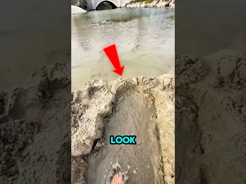 He Dug a Tiny Ditch… Then THIS Happened! 😱🌊 | #shortsvideo