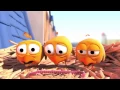 Download Lagu Pigeons - Cute animation cartoon