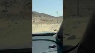 داخل ثنية هرشة    دندنها