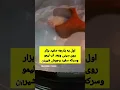 Download Lagu با این ترفند همیشه سولارو با مایکروفرتو تمیز نگهدار 👌👌 #آموزش #ترفند