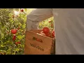 Winn-Dixie Checks Every Box